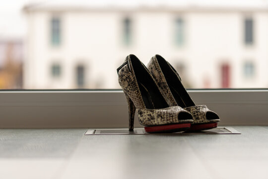 Snakeprint Red high heel pumps in front of a window and on a light floor