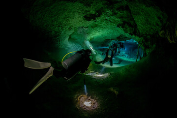 Fototapeta premium cave diver instructor leading a group of divers in a mexican cenote underwater
