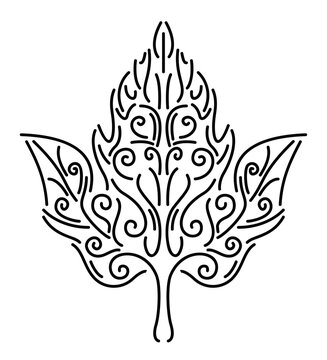 Line art with isolated black decorative leaf