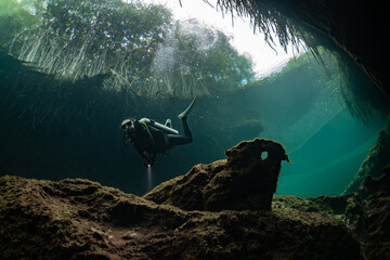 cave diver instructor leading a group of divers in a mexican cenote underwater