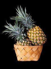tropical fruit pineapple