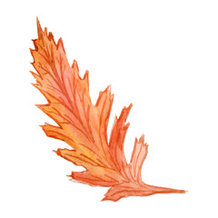 Watercolor autumn leaf. Botanist clipart. Decor element autumn leaf in golden colors.