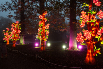 Fototapeta premium autumn in the park