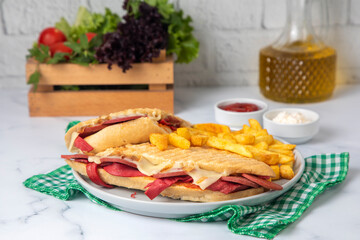 Delicious looking hot sandwich - toast. Sandwich with mixed toast, cheddar cheese and salami.