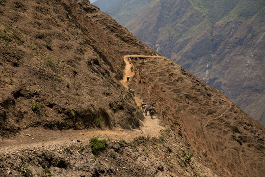 Horses Carrying Food And Drinks To The Towns. Hike Through The Apurímac Canyon To The Ruins Of Choquequirao, An Inca Archaeological Site In Peru, Similar In Structure And Architecture To Machu Picchu.