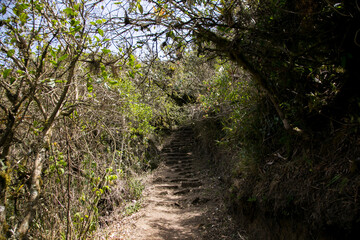 Hike through the Apurímac canyon to the ruins of Choquequirao, an Inca archaeological site in Peru, similar in structure and architecture to Machu Picchu.