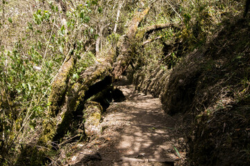 Hike through the Apur&iacute;mac canyon to the ruins of Choquequirao, an Inca archaeological site in Peru, similar in structure and architecture to Machu Picchu.