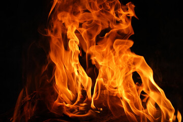 Fototapeta premium Burning flame or fire isolated on black background.
