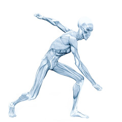 alien muscle maps on white background