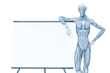 alien muscle maps on white background