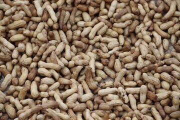 Pikin Slee, Suriname. 13-10-2022. Fresh peanuts left to dry in the sun.