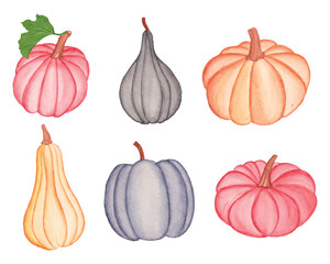 Watercolor pumpkin clipart set, fall pumpkin set, pumpkin vector