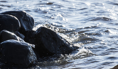Shore water and wet coastal stones.  Close-up natural photo