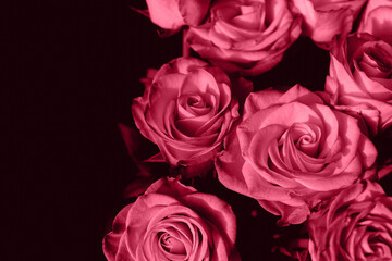 Bouquet of beautiful  roses close up on dark background. Abstract backdrop for seasonal cards, posters, blogs and web design. Romantic and love concept. Color of the year 2023 inspired