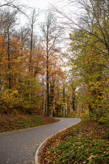Fototapeta na wymiar Countryside road in autumn forest