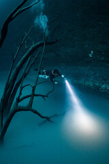 cave diver instructor leading a group of divers in a mexican cenote underwater