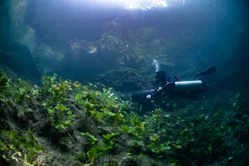 Obraz premium cave diver instructor leading a group of divers in a mexican cenote underwater
