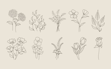 Floral Hand Drawn Design Elements