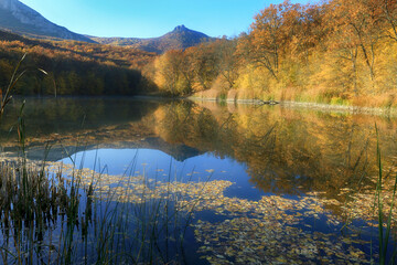 Autumn landscape where yellow trees near the lake are reflected in the water in the mountains