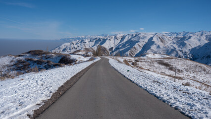 Jack Russell Terrier dog in a knitted sweater runs along the road among the snow-capped mountains. 