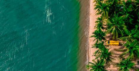 leaves on a surface