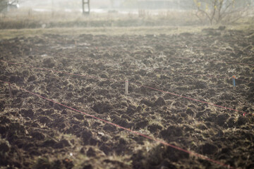 Shallow depth of field (selective focus) details with tillage land during a tree planting activity on a cold and november day