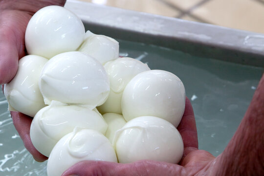 Mozzarella
