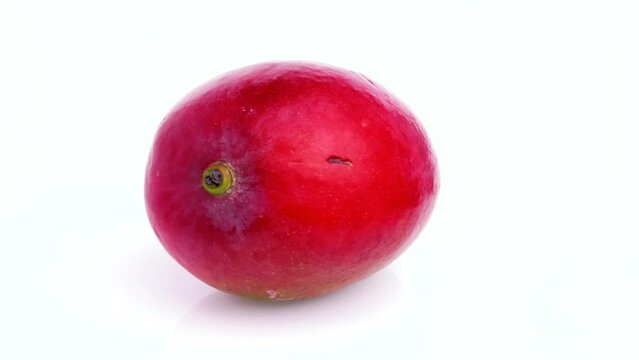 mango isolated on white background