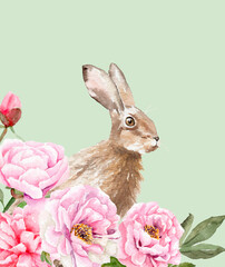 watercolor drawing of an animal - rabbit in flowers