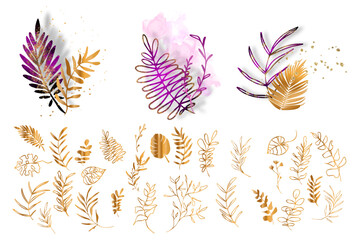 Big hand drawn colorful gold and pink plant set. Botanical, chic and trendy plants. Hand drawn lines, elegant leaves for your own design. Flower branch and minimalistic modern plants.