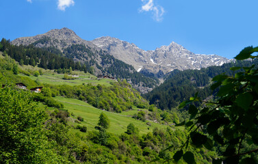 Fototapeta na wymiar a hiking trail overlooking the breathtaking Italian Alps in Parcines (or Partschins) in Rabla (or Rabland), Tel region of South Tyrol (Merano, Italy, South Tyrol) 