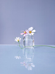 bottles and flowers