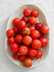 fresh fruit plum on white background