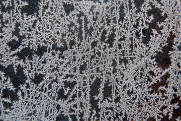 Frost Pattern on a Window