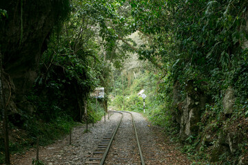 Hiking from Santa Teresa Hidroeléctrica to Aguas Calientes to reach Machupichu. Path following the train tracks with several hikers.