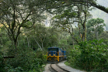 Hiking from Santa Teresa Hidroeléctrica to Aguas Calientes to reach Machupichu. Path following the...