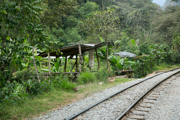 Hiking from Santa Teresa Hidroeléctrica to Aguas Calientes to reach Machupichu. Path following the train tracks with several hikers.