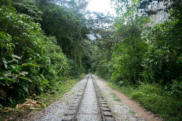Obraz premium Hiking from Santa Teresa Hidroeléctrica to Aguas Calientes to reach Machupichu. Path following the train tracks with several hikers.