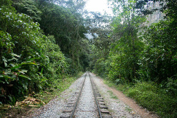 Fototapeta na wymiar Hiking from Santa Teresa Hidroeléctrica to Aguas Calientes to reach Machupichu. Path following the train tracks with several hikers.