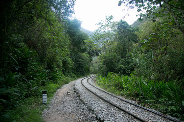Obraz premium Hiking from Santa Teresa Hidroeléctrica to Aguas Calientes to reach Machupichu. Path following the train tracks with several hikers.