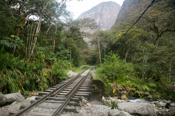 Fototapeta premium Hiking from Santa Teresa Hidroeléctrica to Aguas Calientes to reach Machupichu. Path following the train tracks with several hikers.