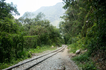 Hiking from Santa Teresa Hidroeléctrica to Aguas Calientes to reach Machupichu. Path following the train tracks with several hikers.