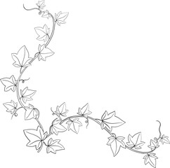 Simplicity ivy freehand drawing