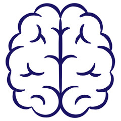 Blue outline icon of two hemispheres of the human brain, drawn with a brush line. Simple vector minimal linear pictogram isolated on transparent background