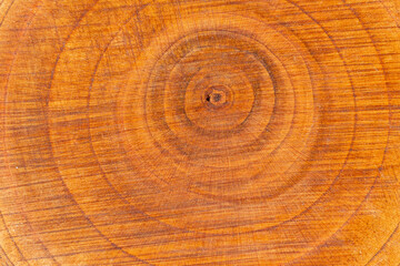 The texture of a cut tree. Wood treated with oil.