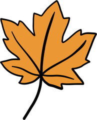 simplicity maple freehand drawing