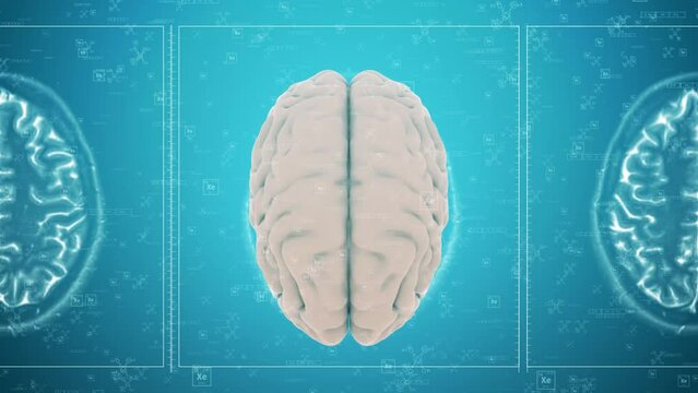 3d Animation of dopamine and serotonin release from the nervous system into the brain causing a chemical reaction. More elements in our portfolio.
