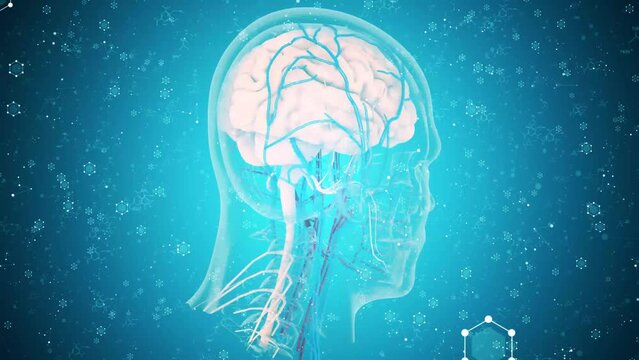 3d Animation of dopamine and serotonin release from the nervous system into the brain causing a chemical reaction. More elements in our portfolio.