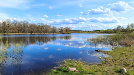 Fototapeta premium In spring the river overflows and the water floods the banks where grass, bushes, and trees grow. Leaves are blossoming. The trees and the blue sky are reflected in the water. Rocks lie on the shore. 