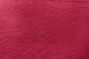 Viva Magenta color leather texture. Abstract background. Trending color of 2023 - Viva Magenta.